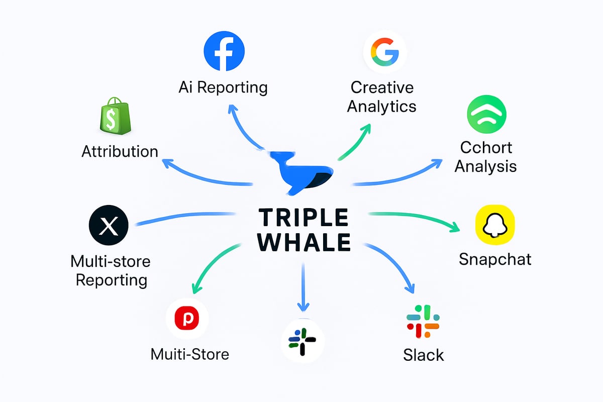 Triple Whale Dashboard 2025: Complete Guide to Mastering Analytics ...