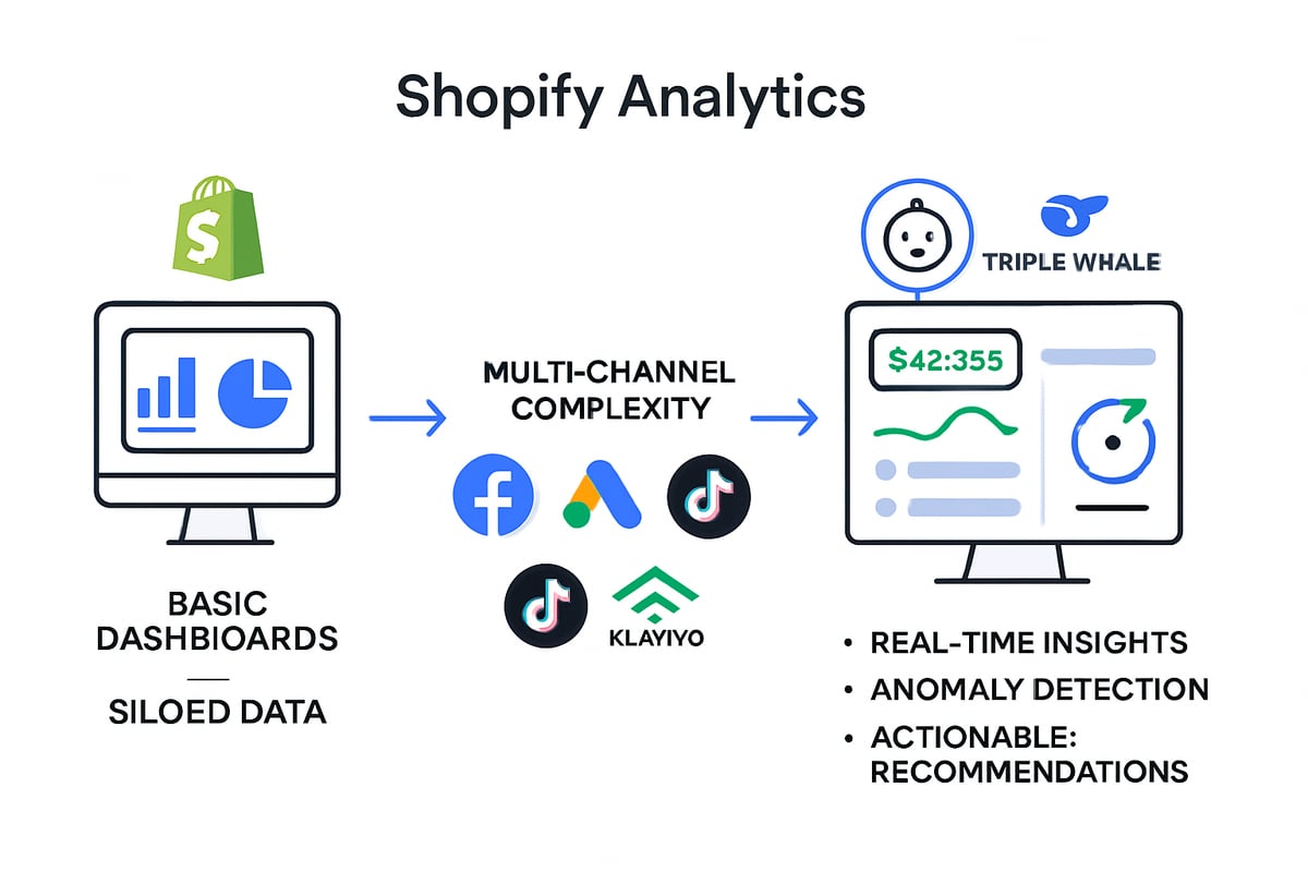 Triple Whale Dashboard 2025: Complete Guide to Mastering Analytics ...